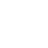 icon (2)